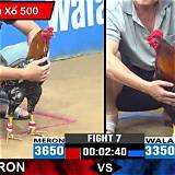 da gà trực tiếp french roulette